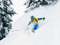 Cours de freeride – Skiguiding Skischule Söll-Hochsöll Embacher