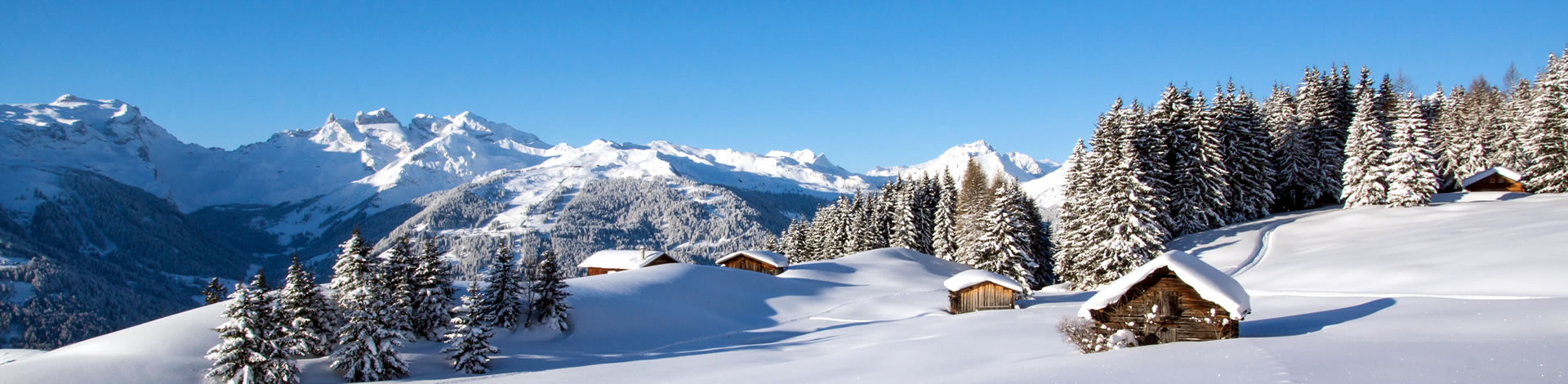 Conseils et informations pour des vacances d'hiver en toute sécurité.